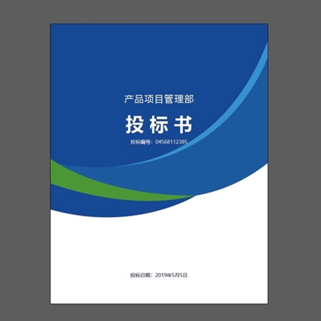 专业高效 · 精准呈现 | 您身边的图文设计与标书制作专家